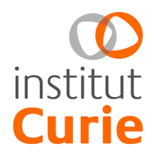 Institut Curie